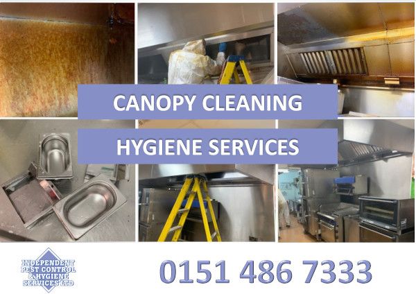 An image showcasing our canopy cleaning as part of our hygiene services.